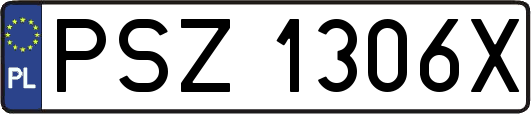 PSZ1306X