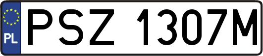 PSZ1307M
