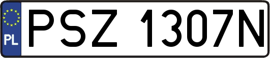 PSZ1307N