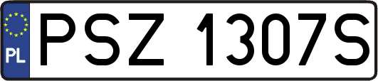 PSZ1307S
