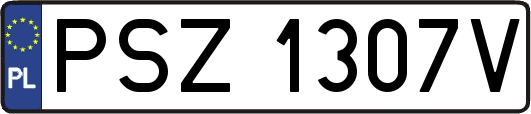 PSZ1307V