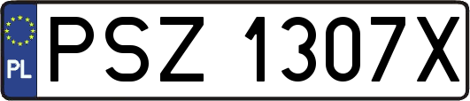 PSZ1307X