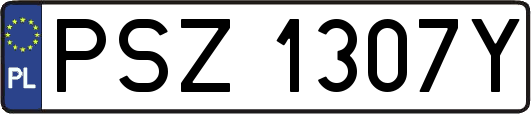 PSZ1307Y