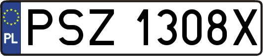 PSZ1308X