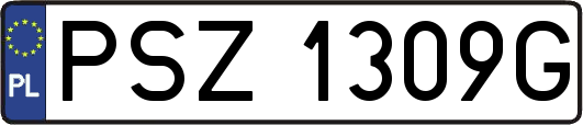 PSZ1309G