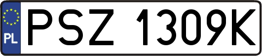 PSZ1309K