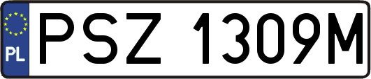 PSZ1309M
