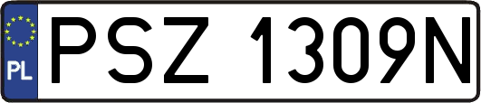 PSZ1309N