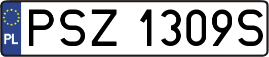 PSZ1309S