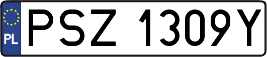 PSZ1309Y