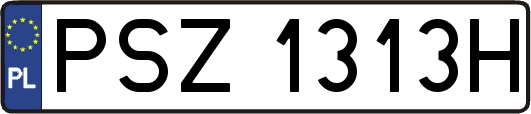PSZ1313H