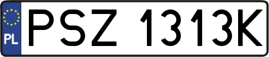 PSZ1313K