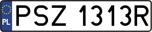 PSZ1313R