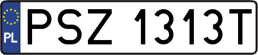 PSZ1313T