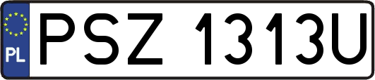 PSZ1313U