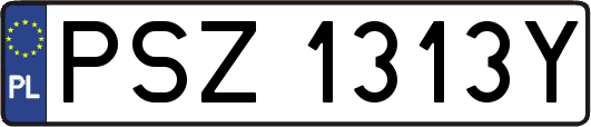 PSZ1313Y