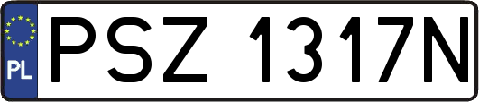 PSZ1317N