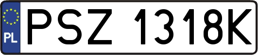 PSZ1318K