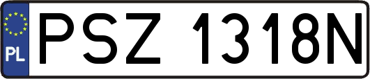 PSZ1318N