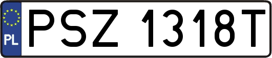 PSZ1318T