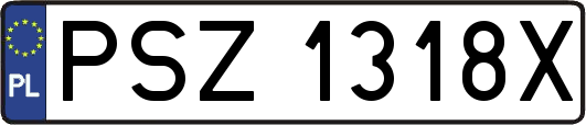 PSZ1318X