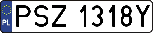 PSZ1318Y