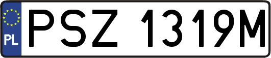 PSZ1319M