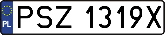 PSZ1319X