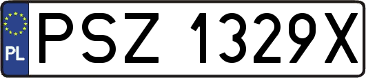 PSZ1329X