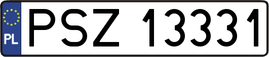 PSZ13331