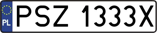 PSZ1333X