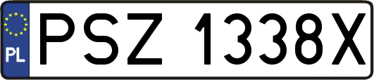 PSZ1338X