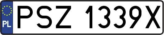 PSZ1339X