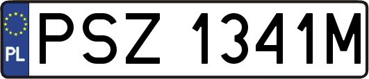 PSZ1341M