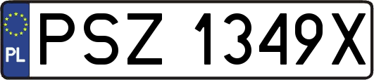 PSZ1349X
