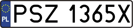 PSZ1365X