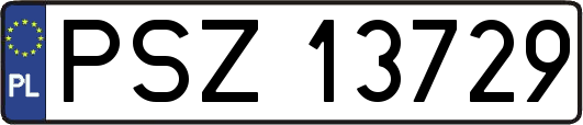 PSZ13729