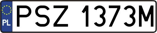 PSZ1373M
