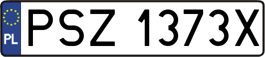 PSZ1373X