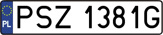 PSZ1381G