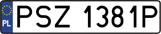 PSZ1381P