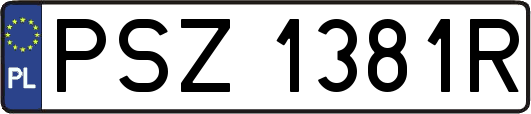 PSZ1381R