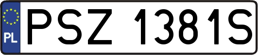 PSZ1381S