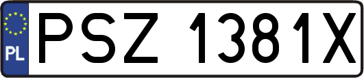 PSZ1381X