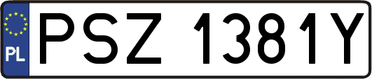PSZ1381Y