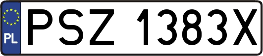 PSZ1383X