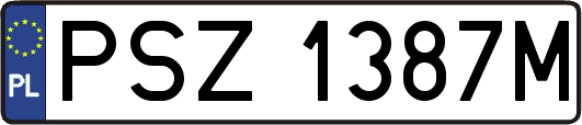 PSZ1387M