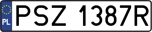 PSZ1387R