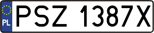 PSZ1387X