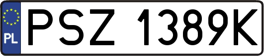 PSZ1389K